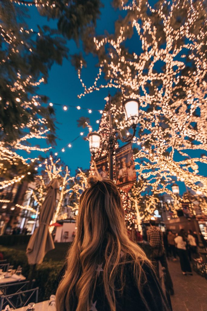 Christmas tradition: trees are covered with lights
